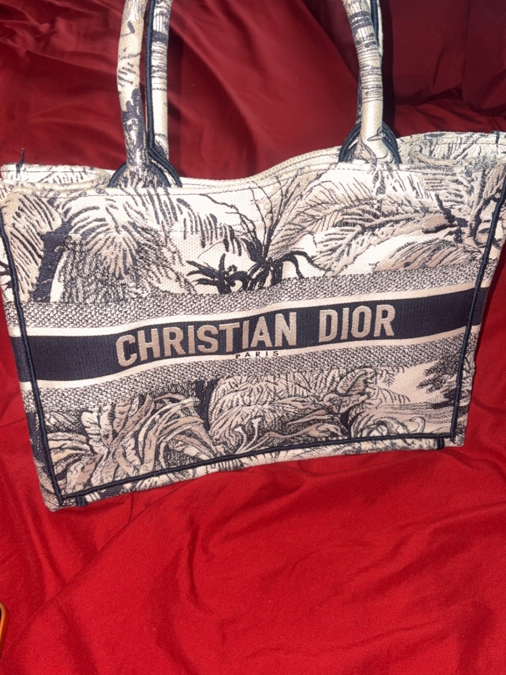 Dior Toile de Jouy Tote in Navy and Cream